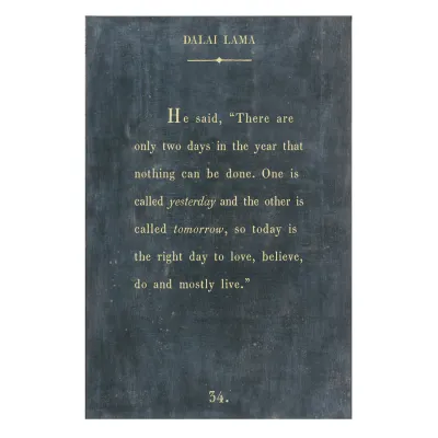 12"x16" Dalai Lama Book Collection Art Poster - Charcoal