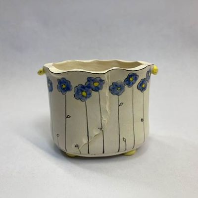 Blue daze planter