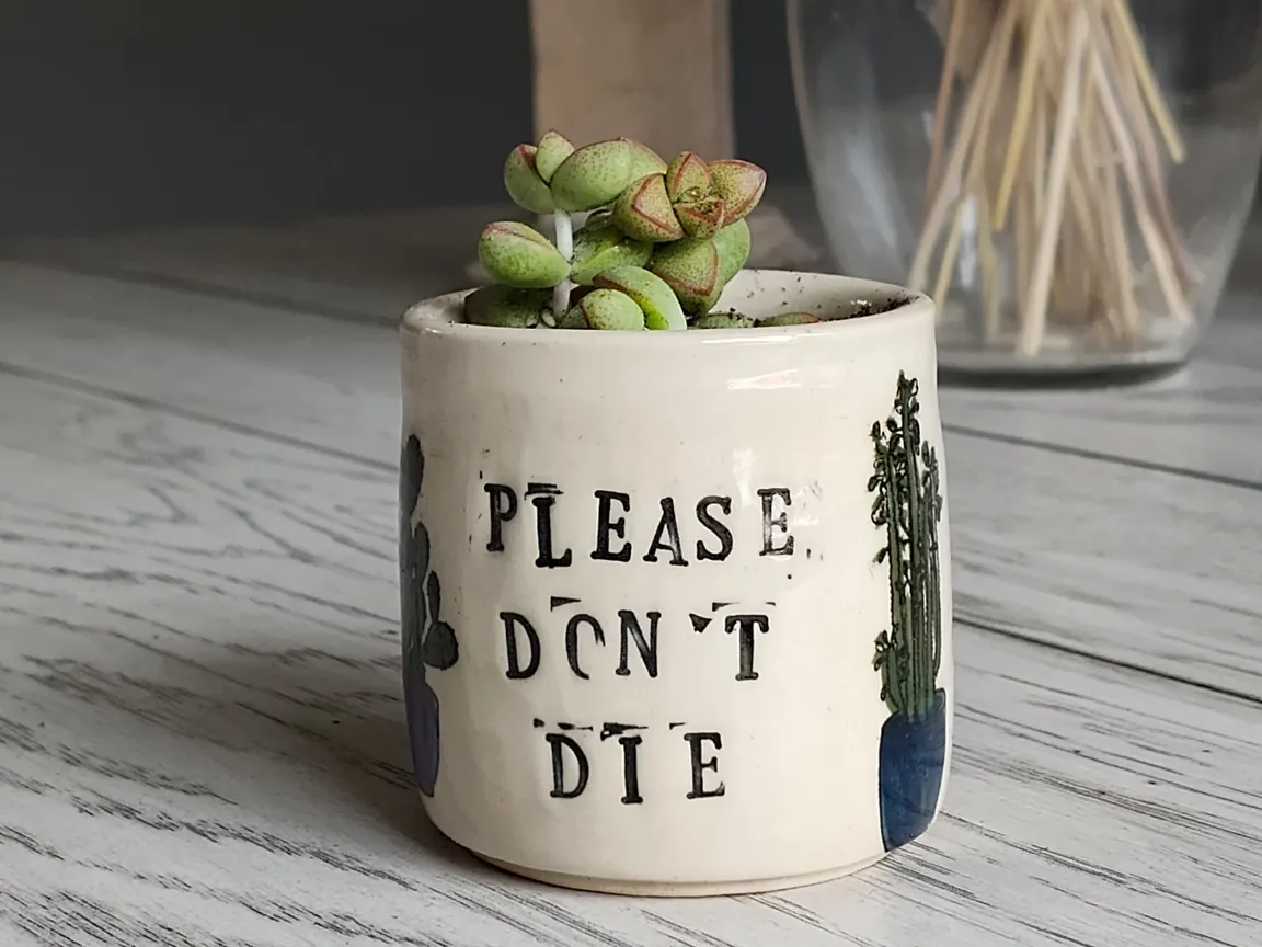 "Please Don't Die" Succulent Planter – Funny Ceramic Pot