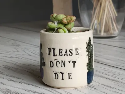 "Please Don't Die" Succulent Planter – Funny Ceramic Pot