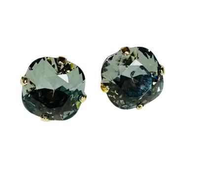 Dolphin gray Gold plated Small dazzling studs