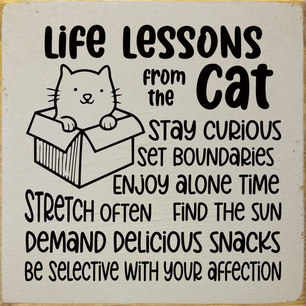 Life Lessons From Cat Old Putty