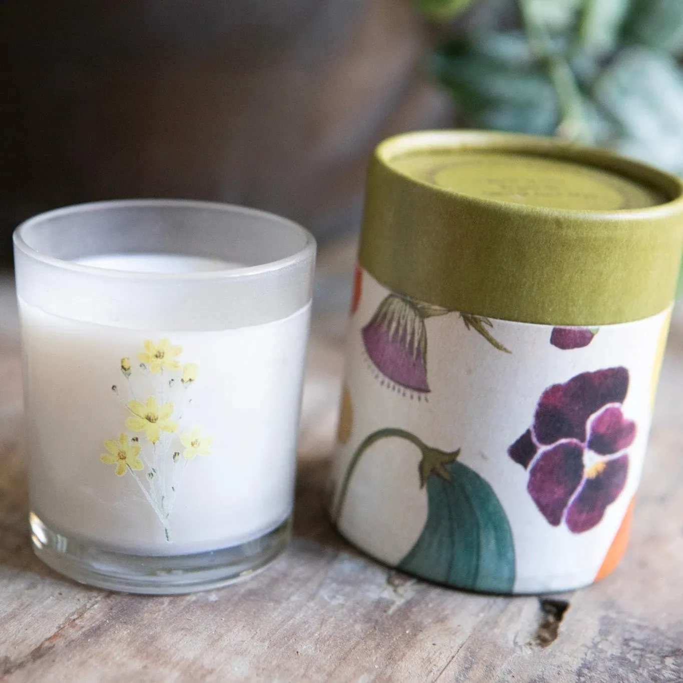 Flora &amp; Fauna Candle Assorted