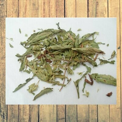Stevia En Hojas 20g Agroecológica