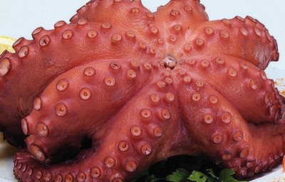 Pulpo Cocido