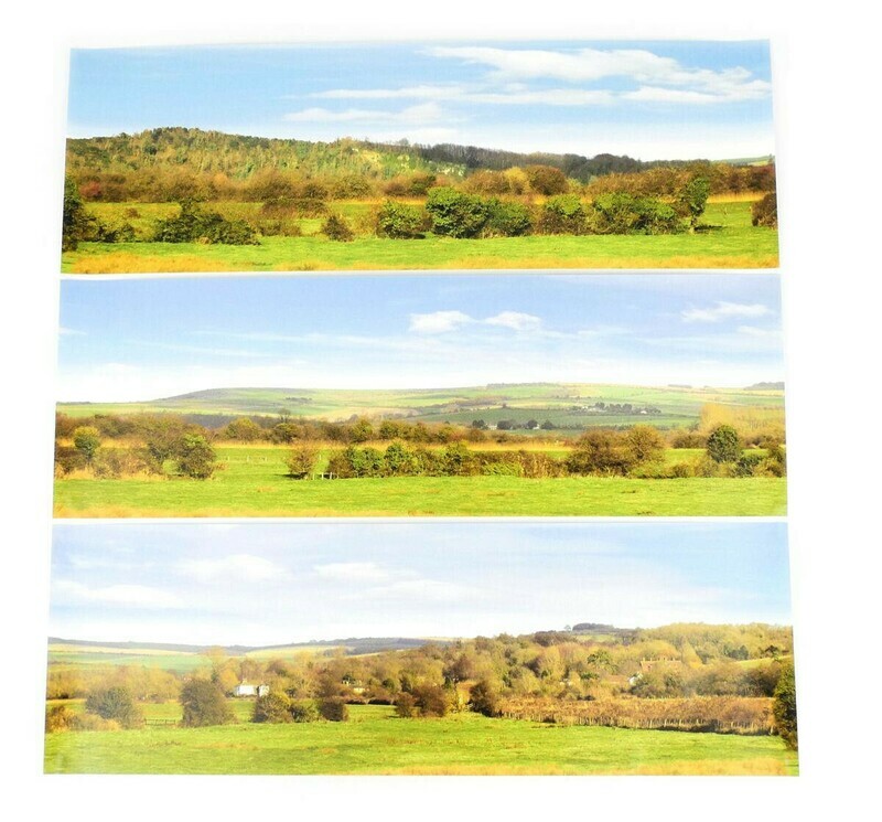 Gaugemaster GM701 Valley Backscene ( Large )