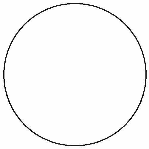 Railmatch Enamel Satin Varnish