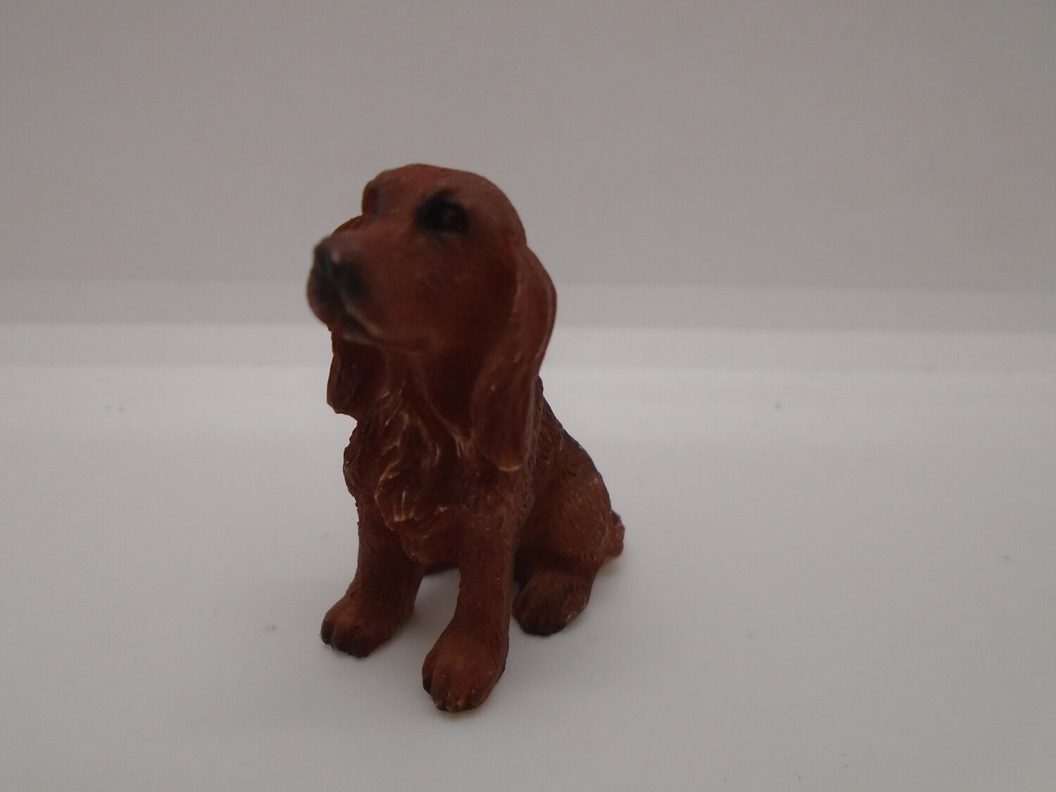 SITTING DOG