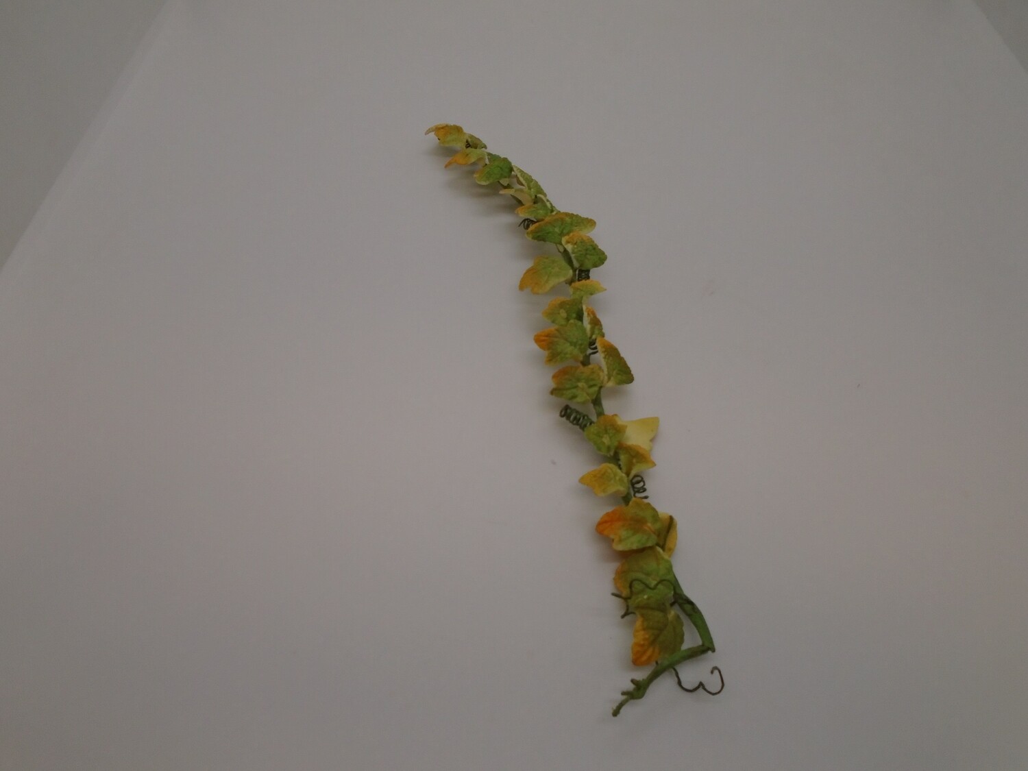 CLIMBING VINE