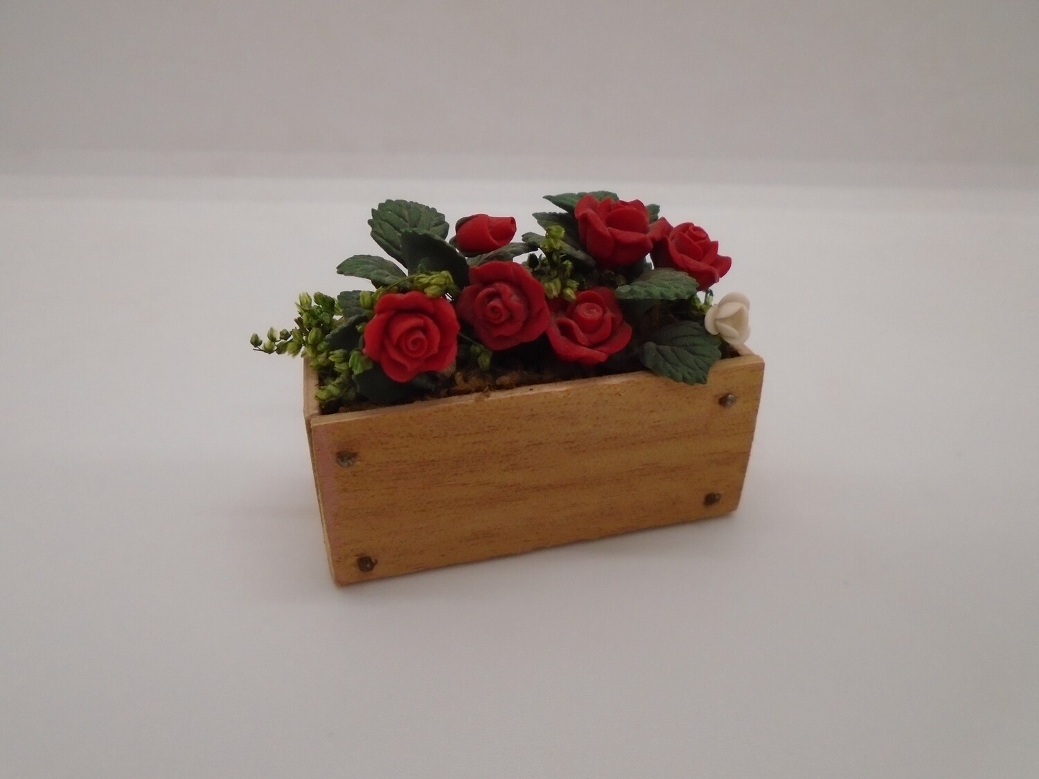 WINDOW BOX ROSE PLANTS