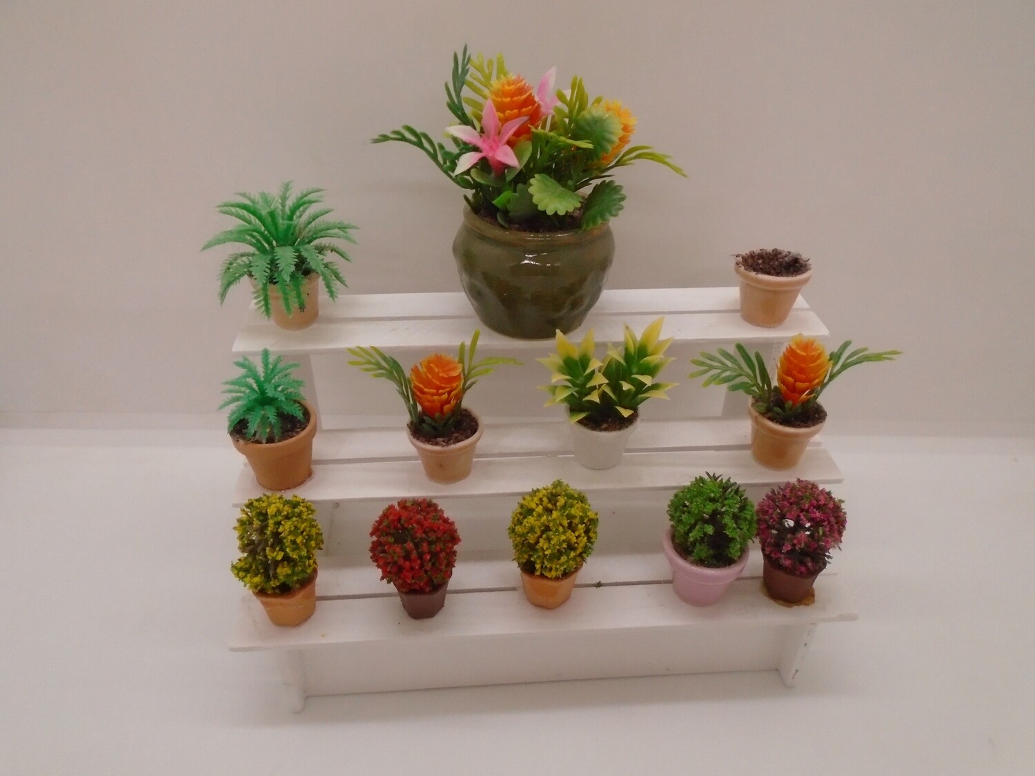 SHOP PLANT DISPLAY SHELVES INCLUDING PLANTS