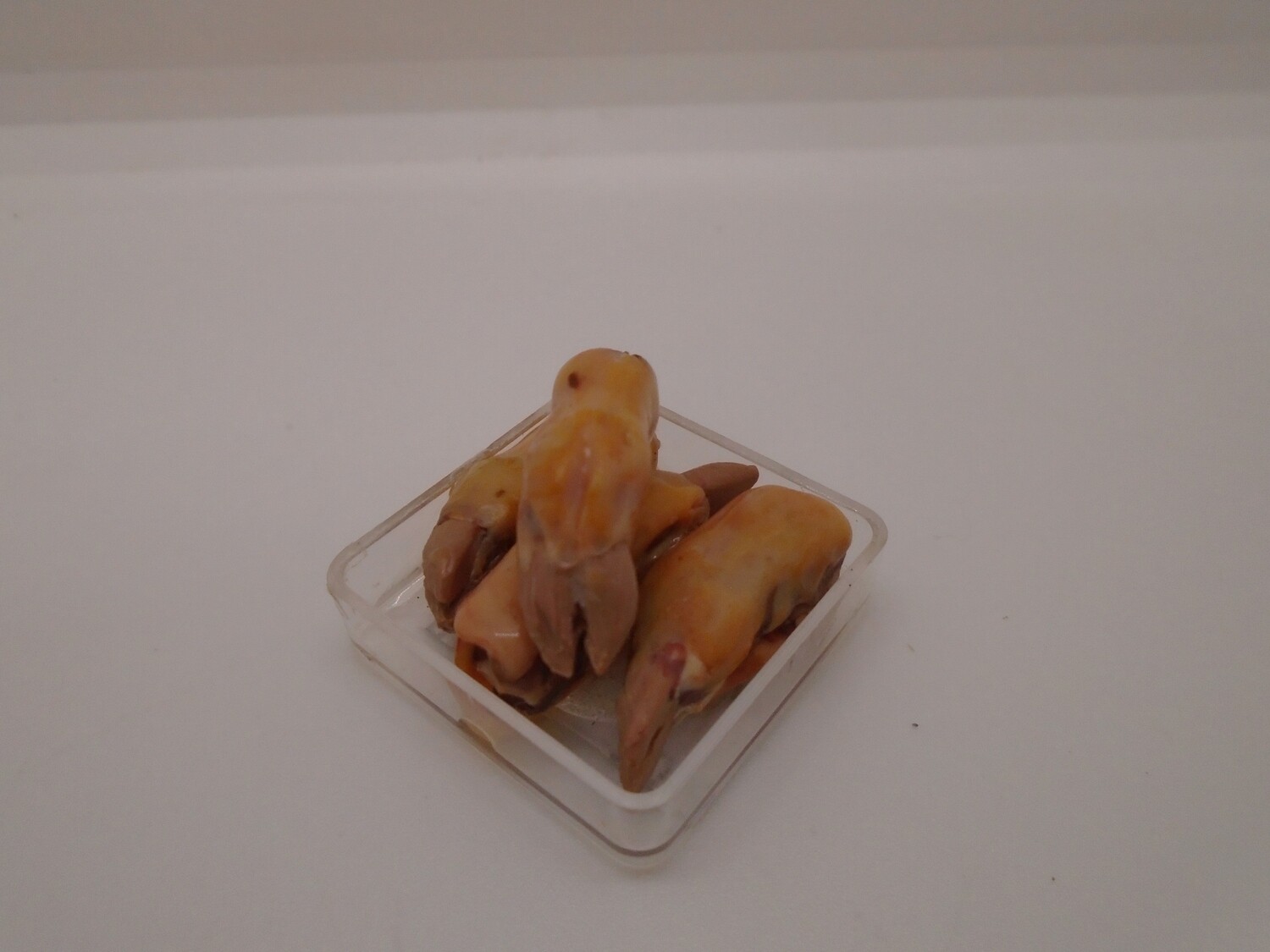 TRAY OF PIGS TROTTERS