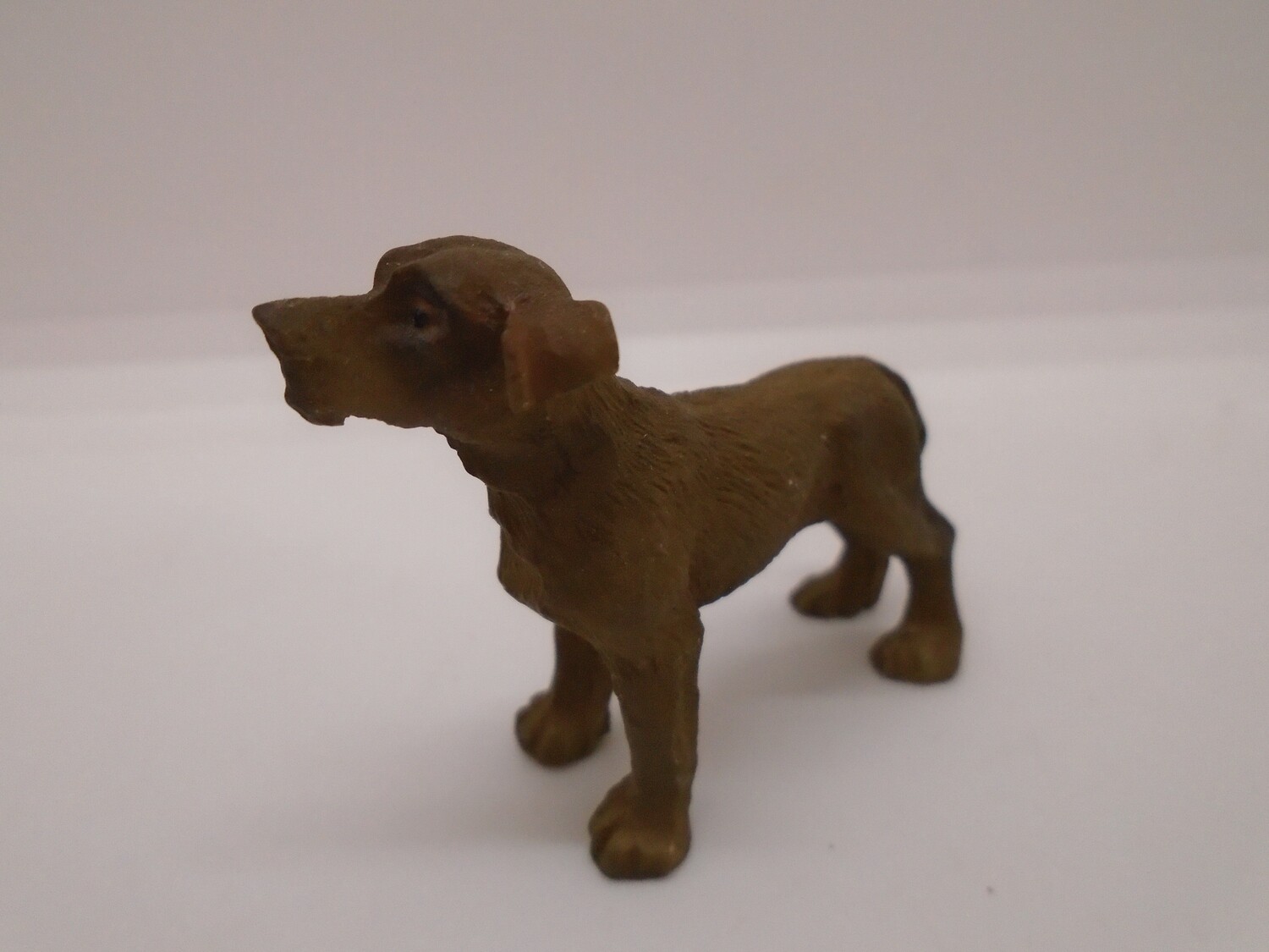 DOG WITH EAR COCKED