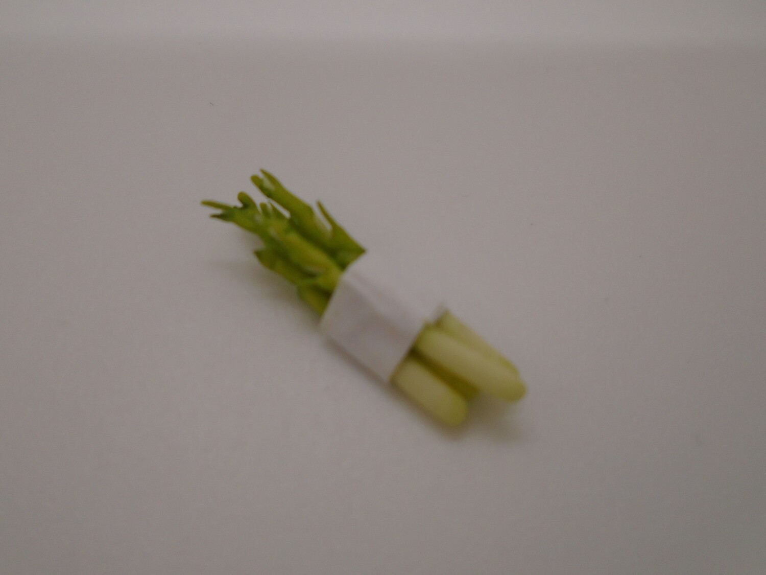 ASPARAGUS BUNDLE
