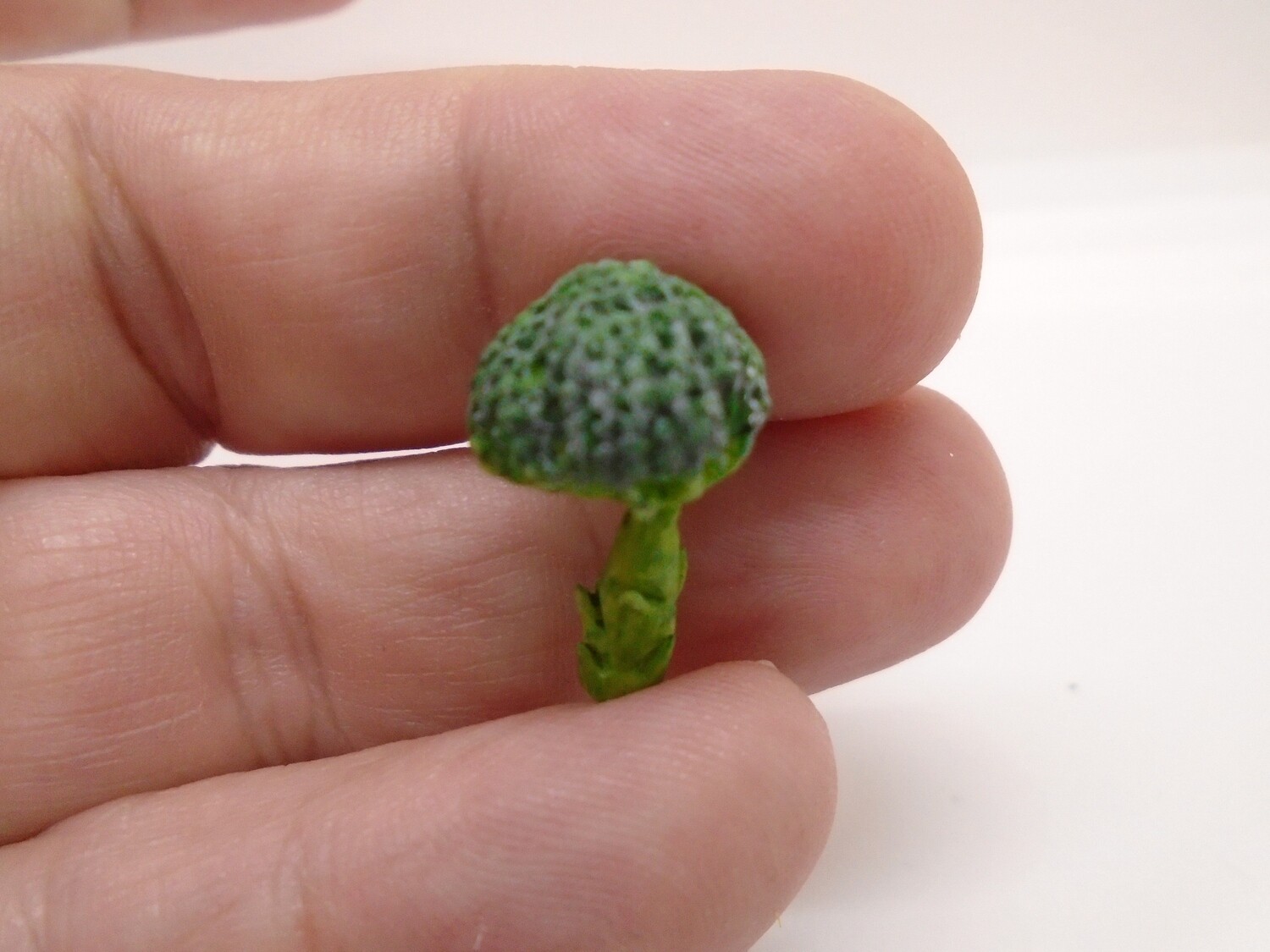 HEAD OF BROCCOLI