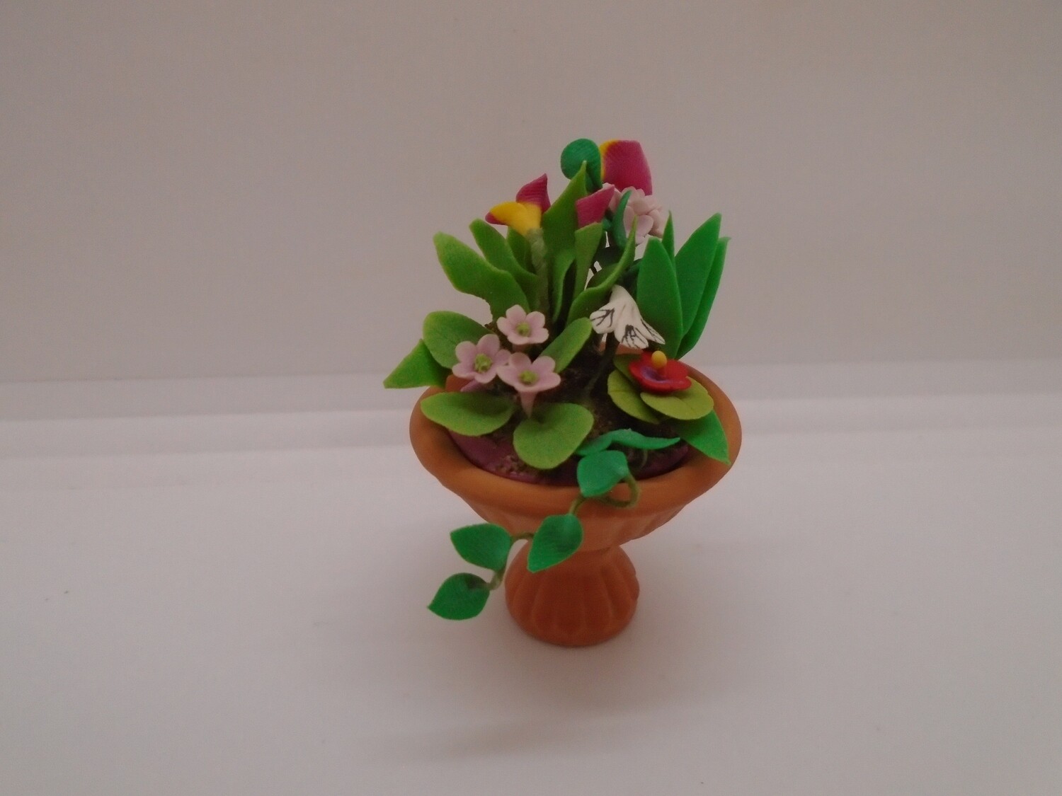 PLANTS AND FLOWERS IN A  TERRACOTTA GARDEN POT