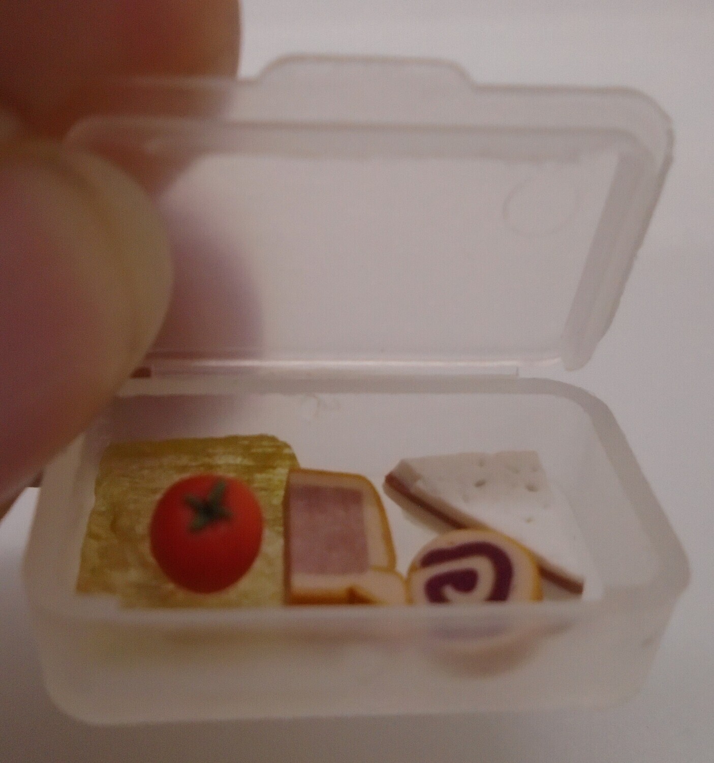 PACKED LUNCH IN PLASTIC CONTAINER