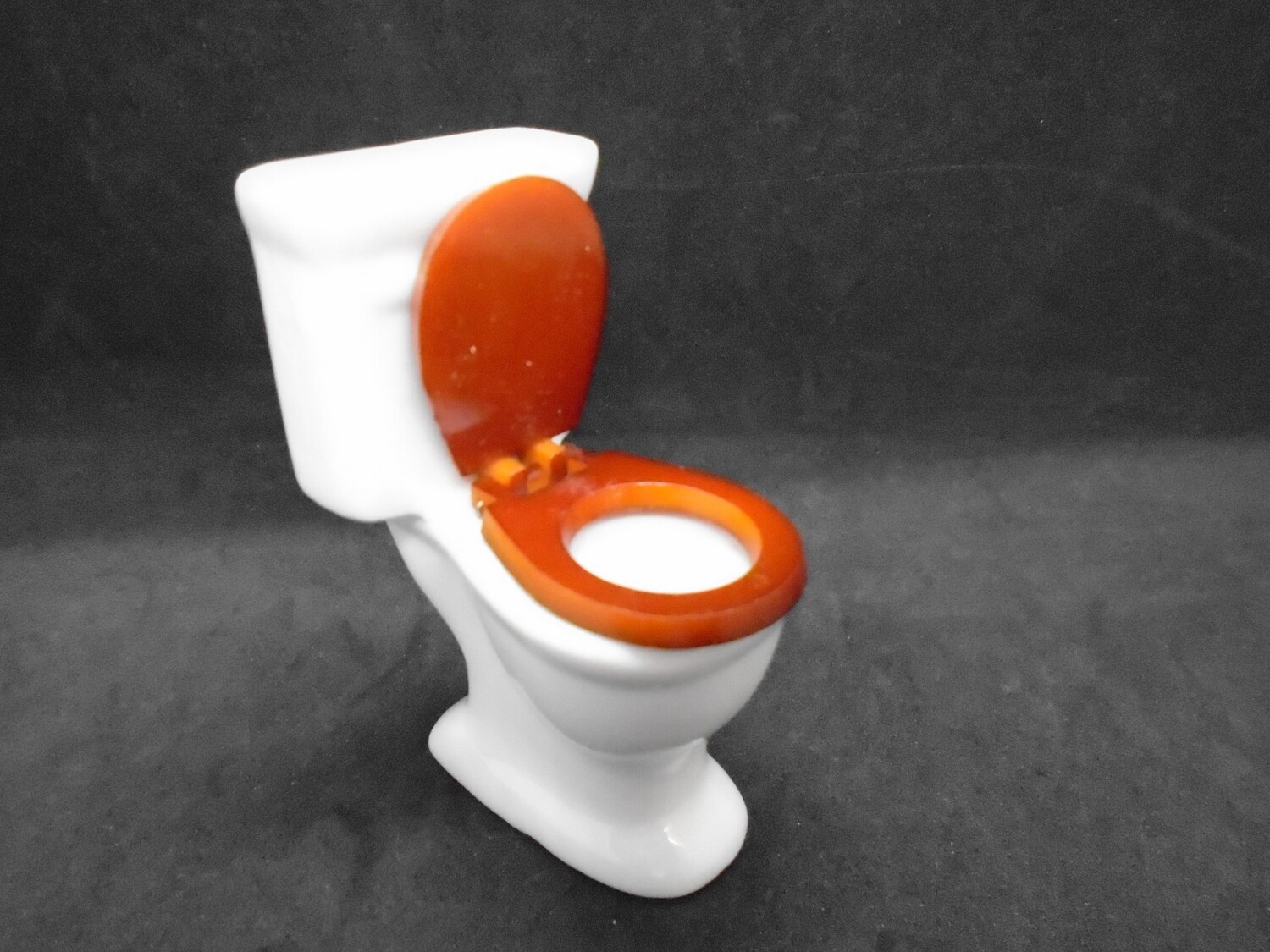 WHITE CHINA TOILET WITH WOOD SEAT