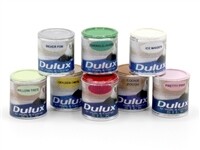 DULUX PAINT
