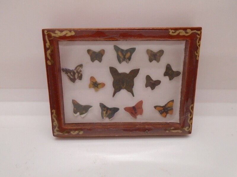 BUTTERFLY DISPLAY BOX