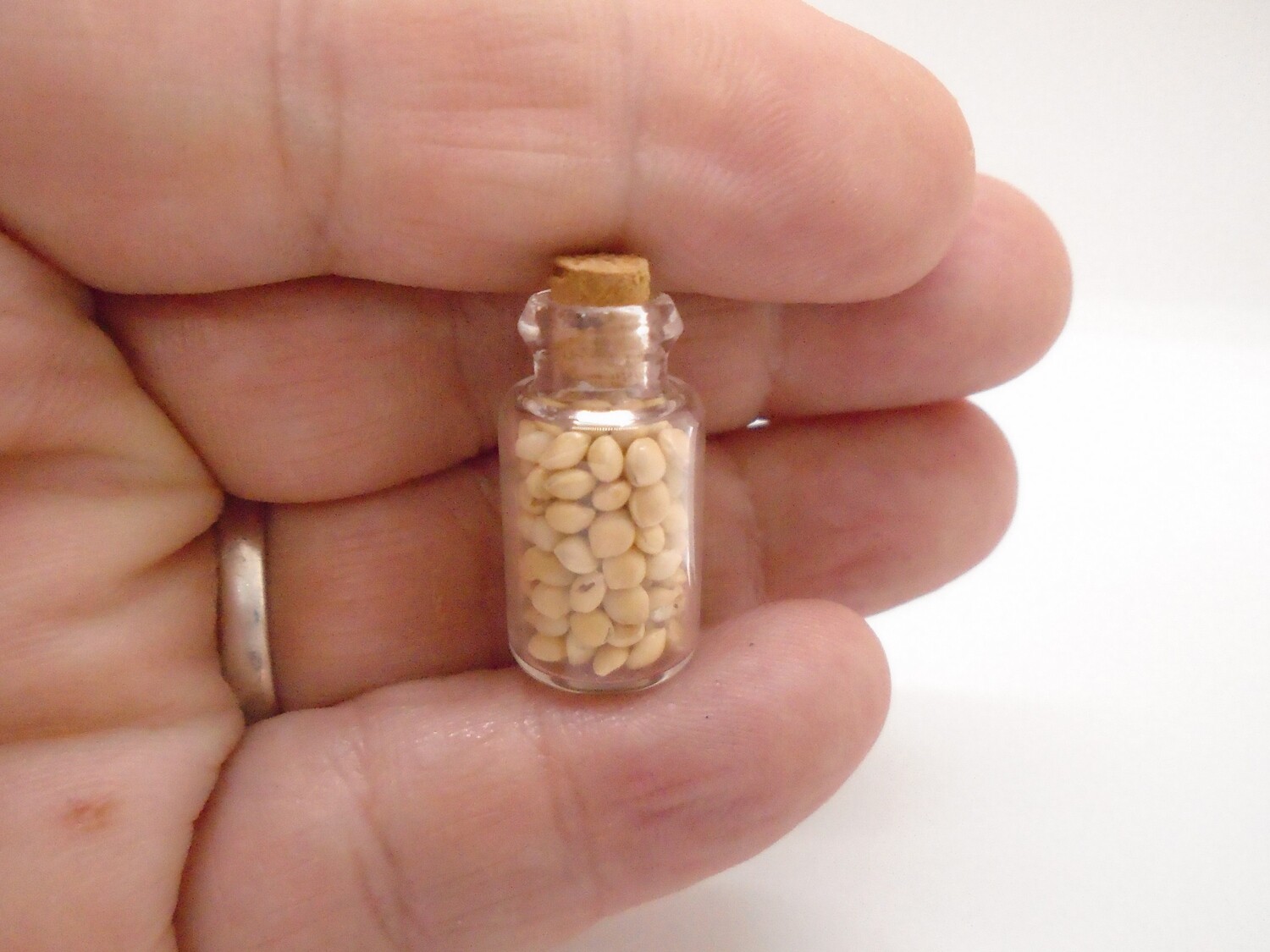 JAR OF NUTS