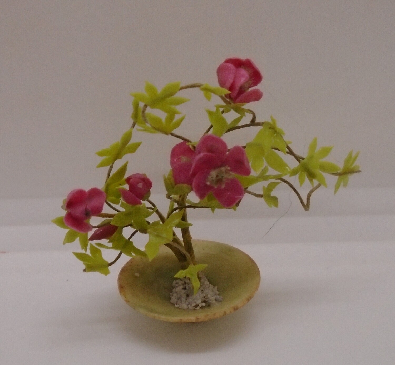 BONSAI STYLE TREE IN CERAMIC DISH