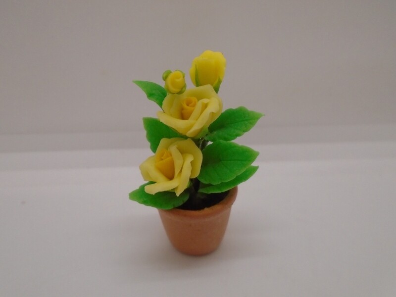 YELLOW ROSES IN POT