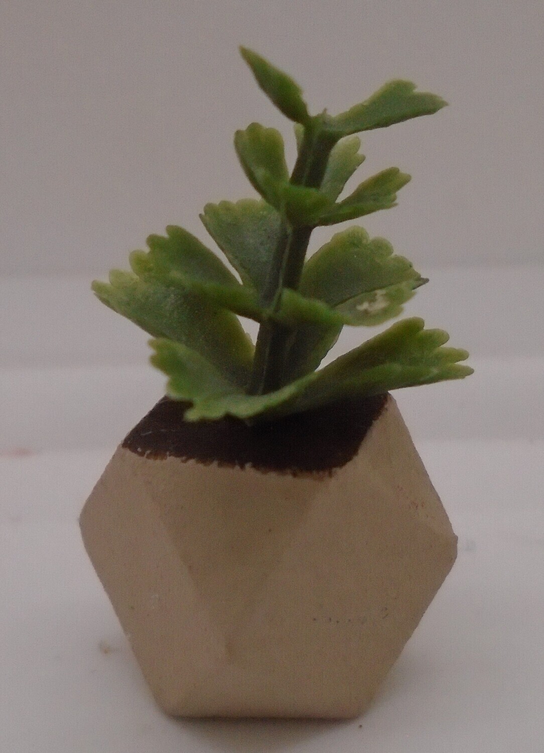 MODERN INDOOR PLANT POT AND PLANT