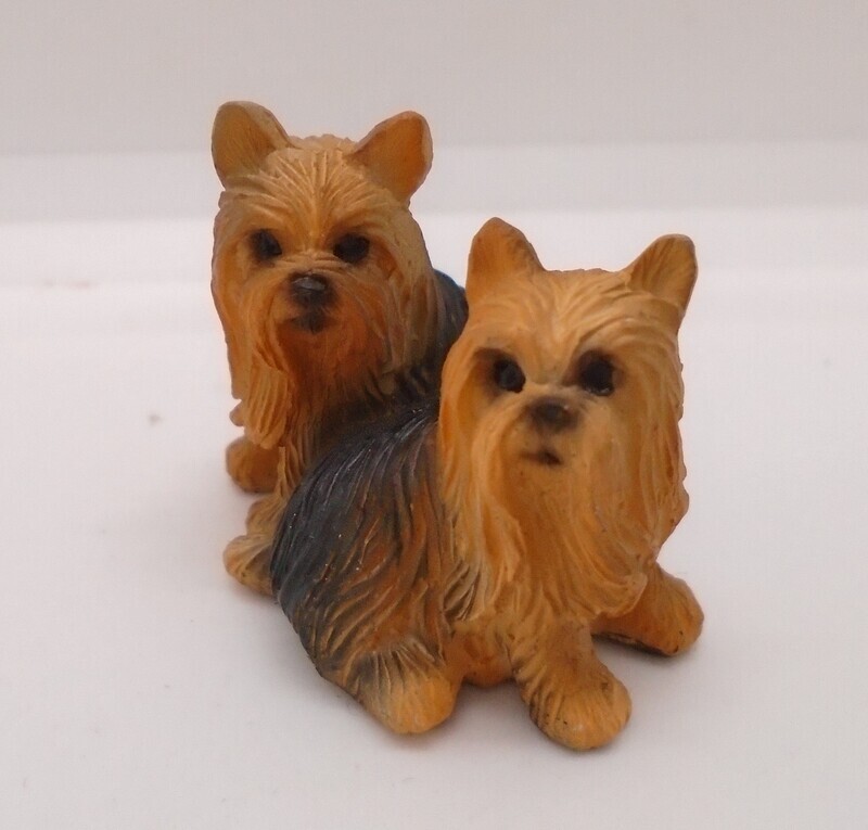 BRUNO AND TYSON THE YORKIES