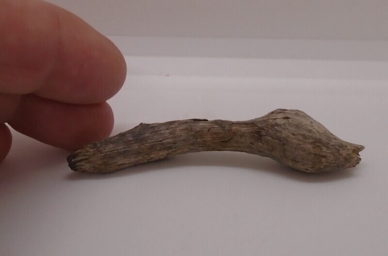 DRIFT WOOD