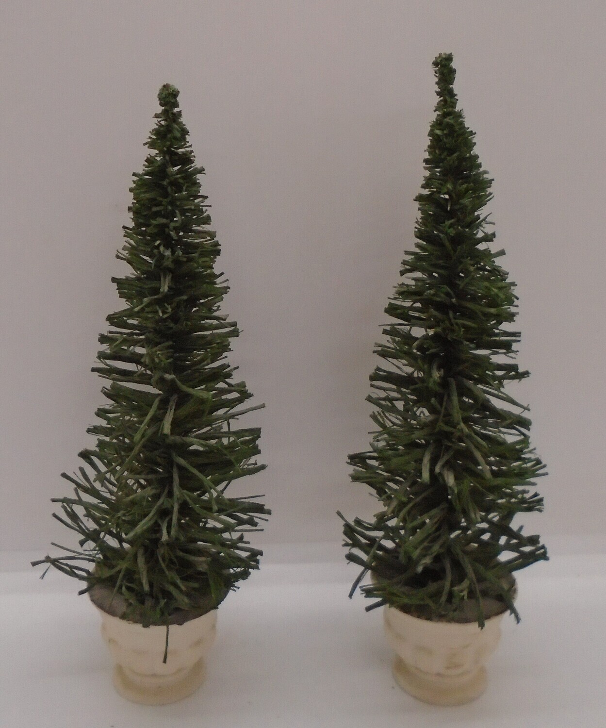 PAIR OF FERN STYLE BUSHES IN POTS