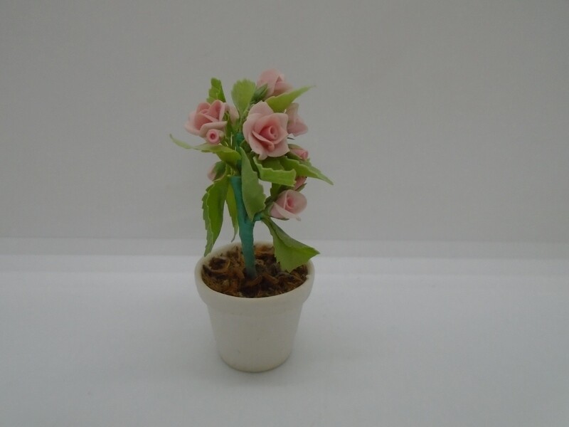 PRETTY PINK FLOWERS IN POT