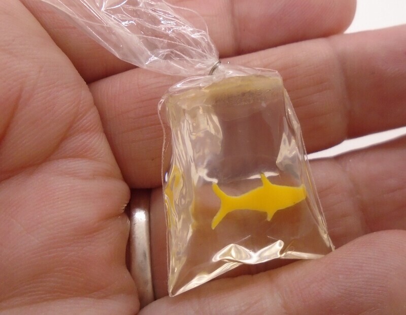 FISH IN A BAG