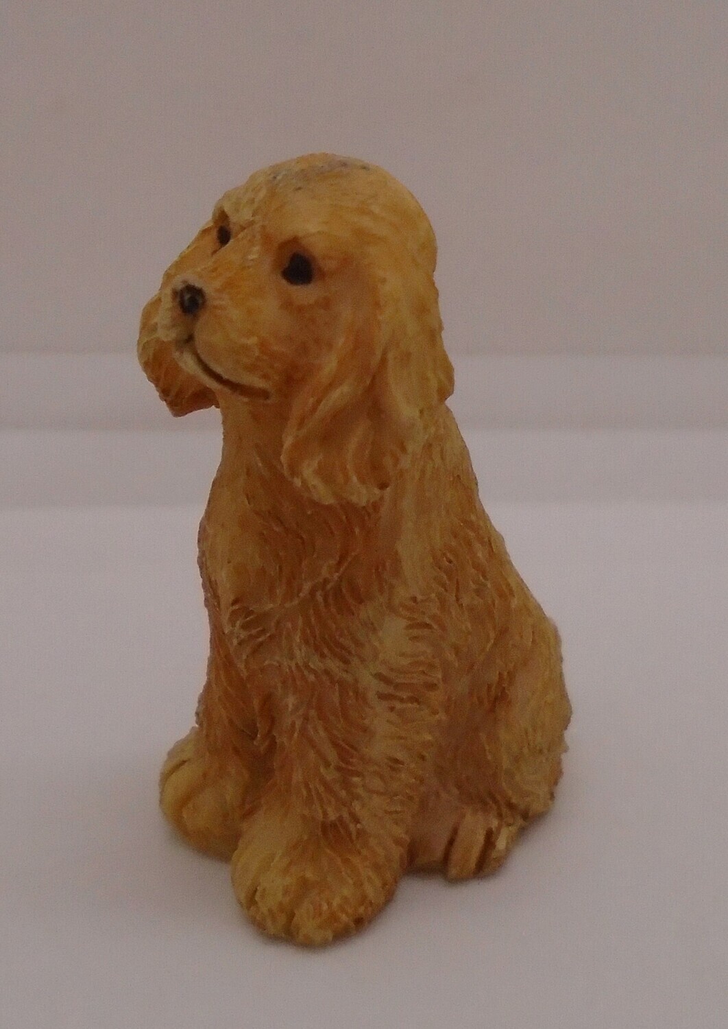 SITTING DOG
