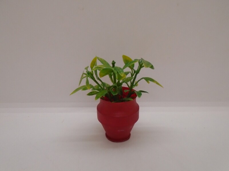 GREEN PLANT IN POT