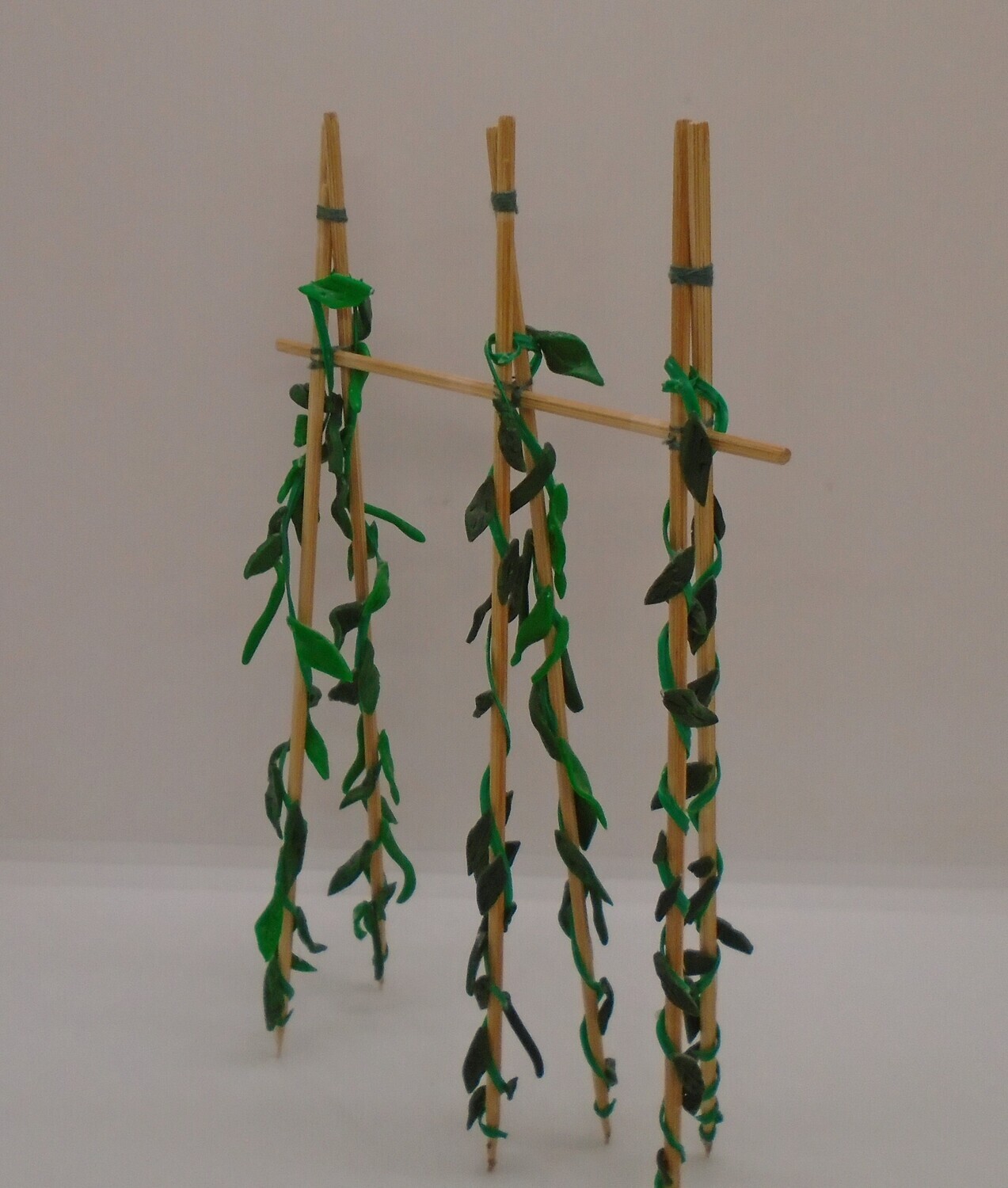 ROW OF RUNNER BEANS