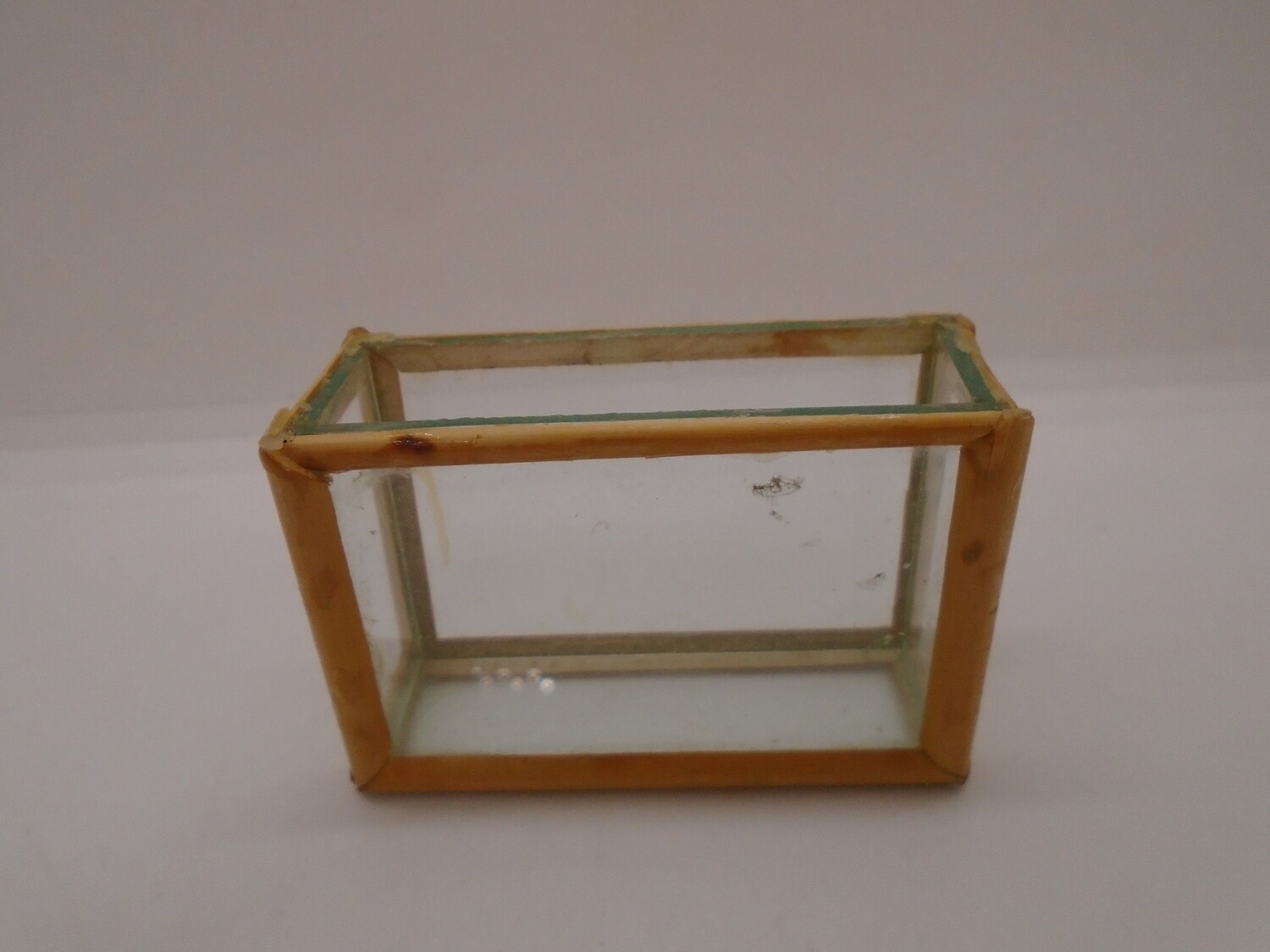 REAL GLASS FISH TANK