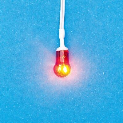 Pre wired, Orange Globe Bulb for Fire grate/ basket