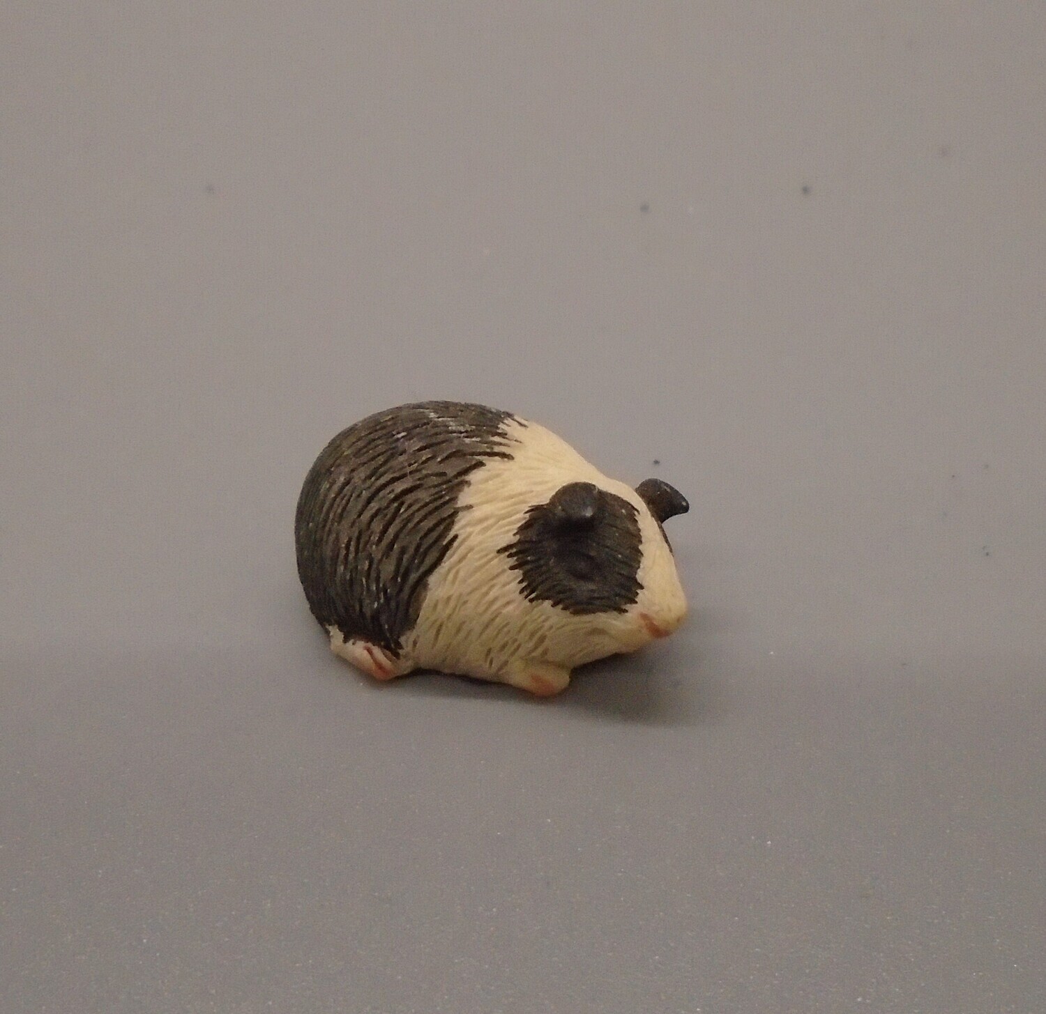 Guinea Pig