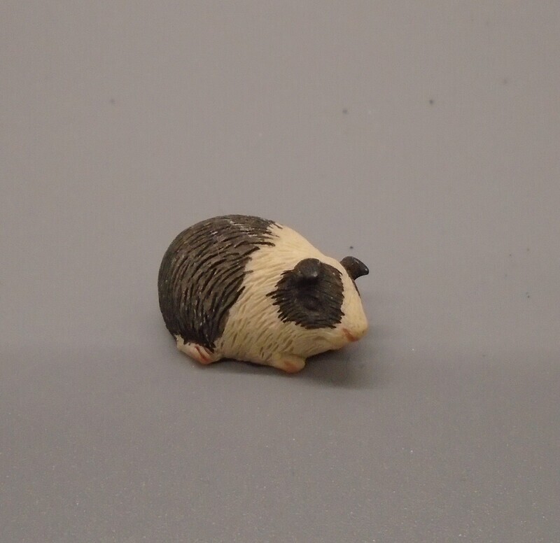 Guinea Pig