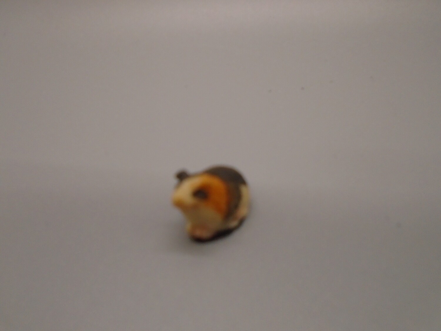 Guinea Pig