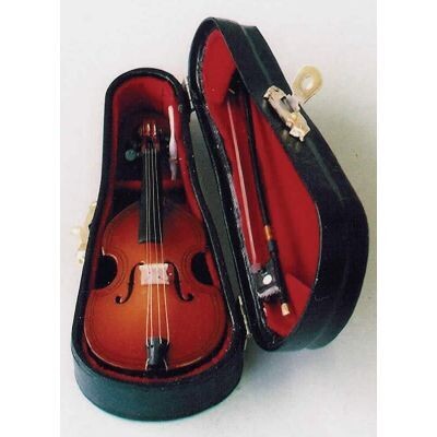 CELLO IN CASE