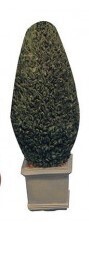 POTTED TREE