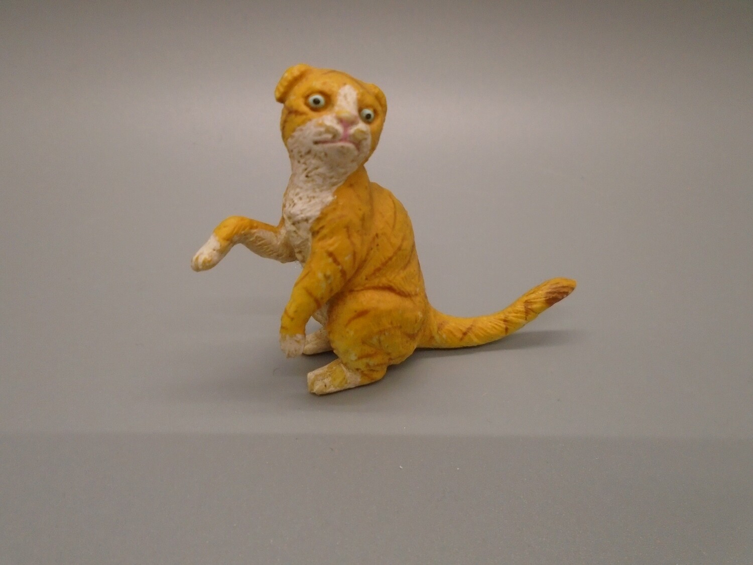 GINGER CAT