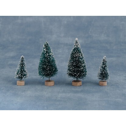 8 ASSORTED MINI CONIFERS