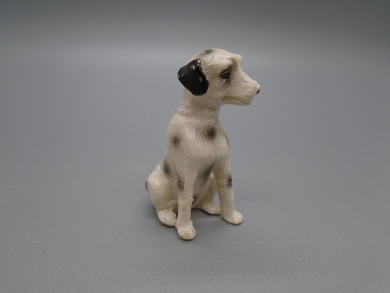 DALMATION DOG