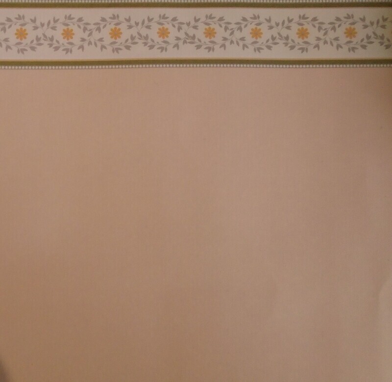 PLAIN PEACH WALLPAPER WITH TOP BOARDER