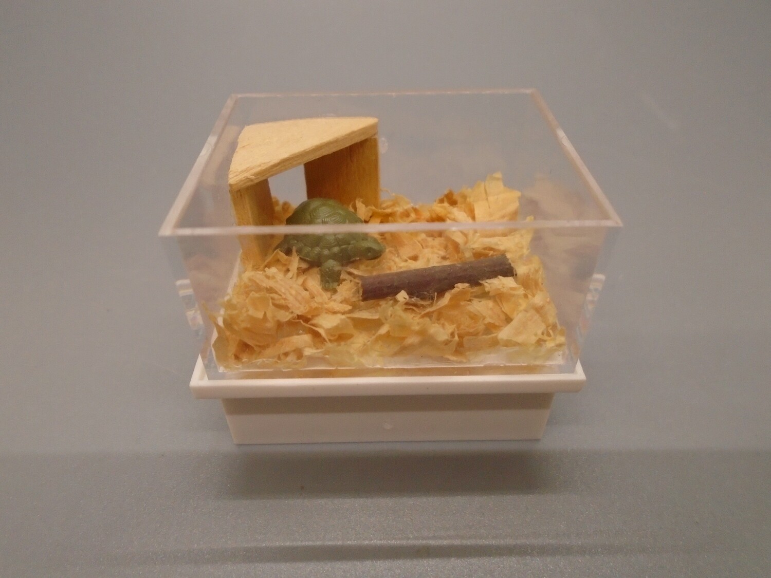TORTOISE IN CAGE