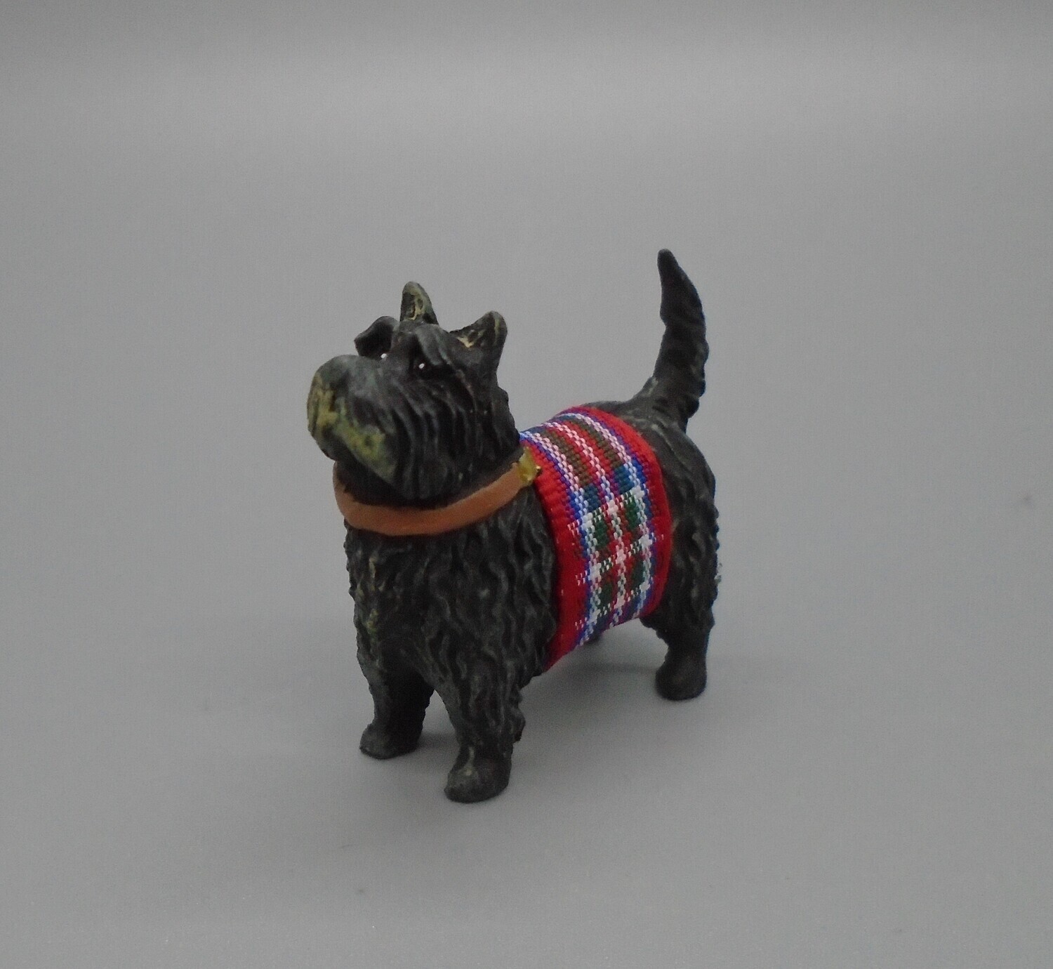 WESTIE DOG WITH COAT