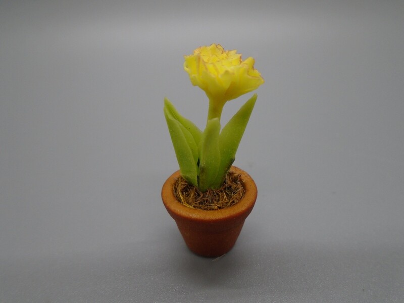 YELLOW FLOWERING PLANT IN POT